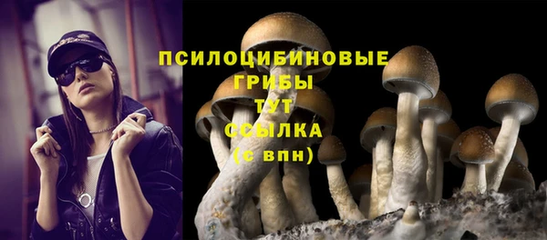 apvp Аркадак