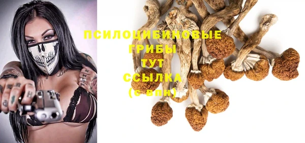 mdpv Арсеньев